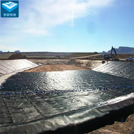 Waterproof Plastic Geomembrane for Fish Farm Shrimp Farm Price