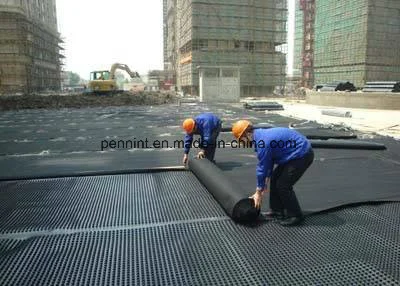 High Quality Building Materials Plastic Drainage Board Used for Landscape Engineering