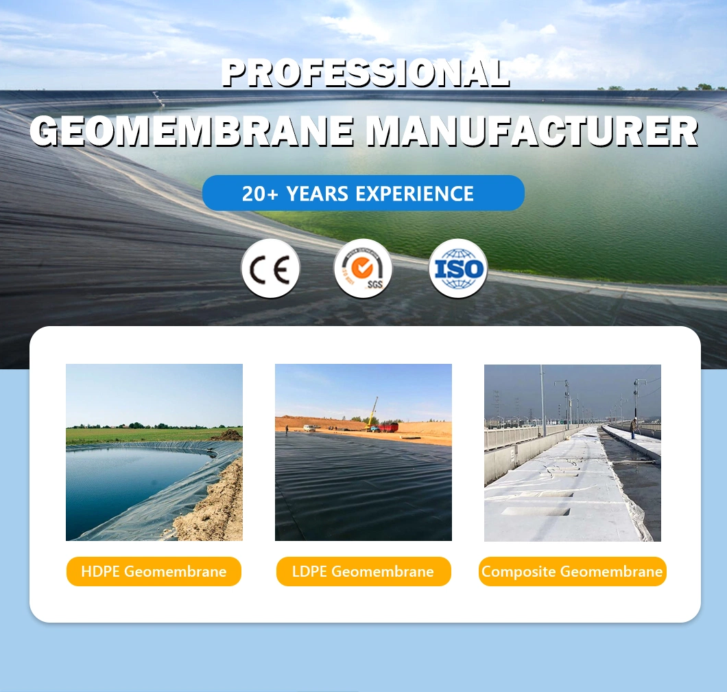 Customized HDPE/LDPE/PE/EV/ECB/PVC Textured/Composite Geomembrane Manufacturer for Aquaculture/Fish Farm/Shrimp/Pond/Dam/Landfill/Mining/Salt/Tailing Liner