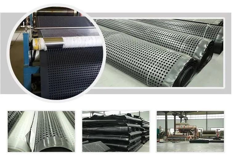 20mm Dimple Drain Sheet Roof Garden Retaining Wall HDPE Composite Drainage Board for Building and Construction
