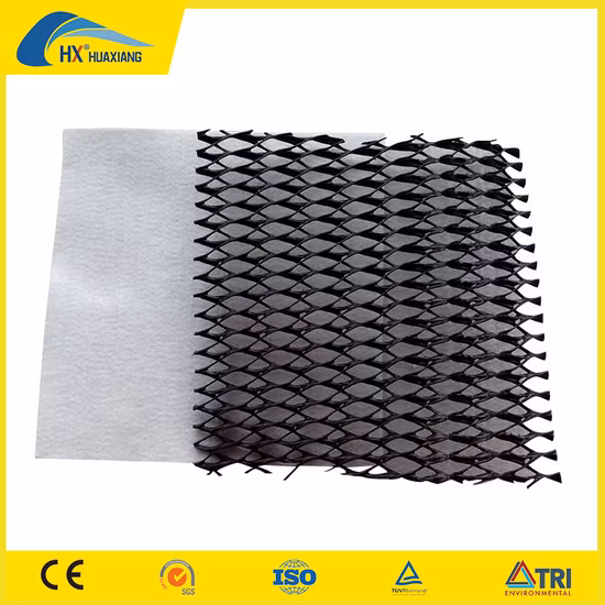 HDPE Geocell for Retaining Wall Road Construction Low Cost Gravel Stabilizer Grid