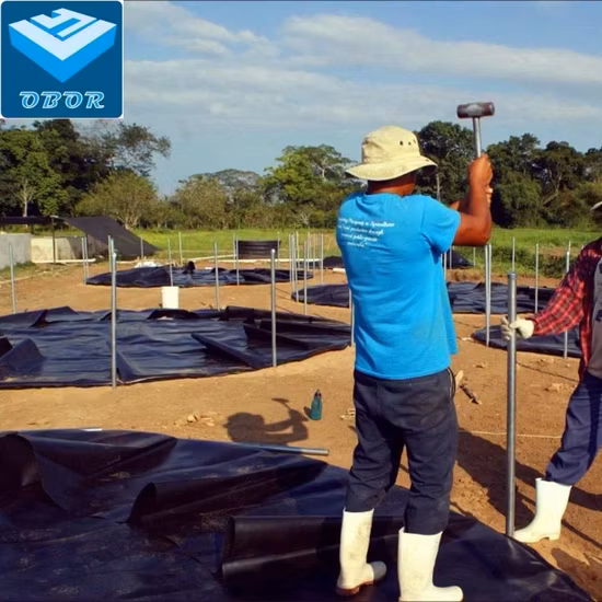Waterproof Shrimp Tank Liner/0.5mm HDPE Geomembrane/Water Pond Liner HDPE Geomembrane