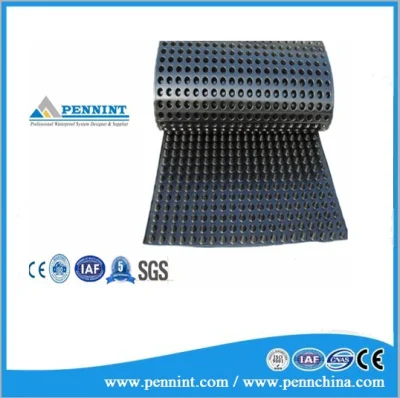 High Quality Building Materials Plastic Drainage Board Used for Landscape Engineering