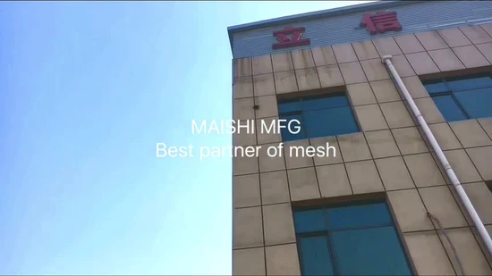 Stainless Steel Wire Welded Mesh Grid 