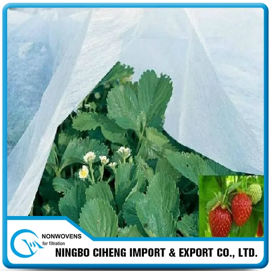 PP Nonwoven Film Portable Strawberry Greenhouse Agricultural Material 