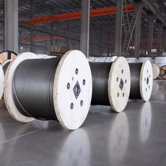 1X7/1X19/7X7/7X19/6X7+FC/6X19+FC SUS304/SUS316 Industrial/ Automotive/Construction/Communication or Medical Device Use Steel Wire Rope