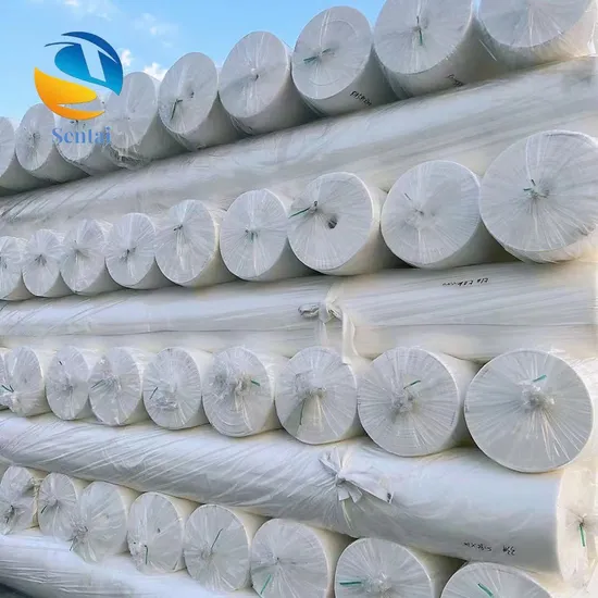 200g, 300g, 500g White Polyester Filament Polyester Geotextile Filter Liner for Reservoirs/Artificial Lakes/Tailings Ponds/Landfills 