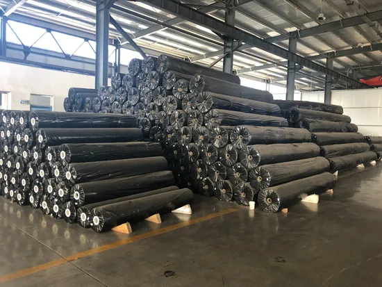 50 To1300 G/M2 PP/Pet Nonwoven Geotextile for Road, Rail, Airport Road Construction 