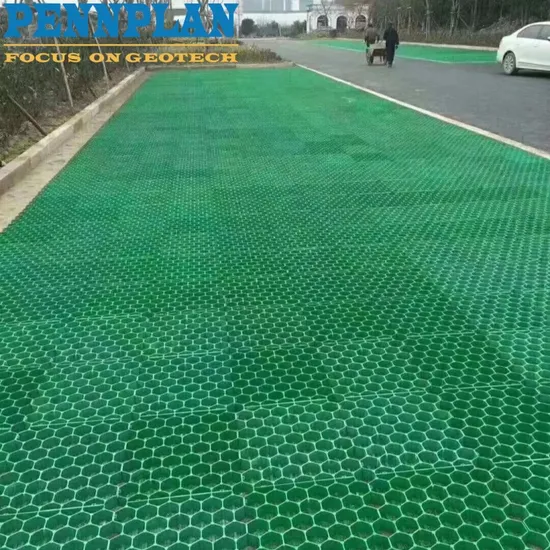 Plastic Grass Grid Permeable Paver Horses Hooves Paddock Slab 