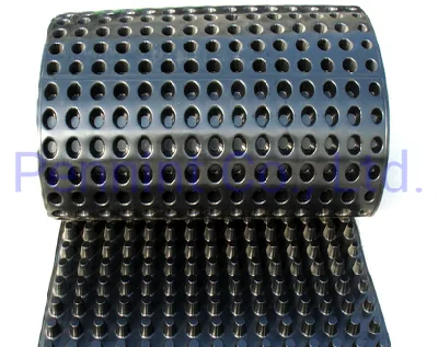 Best Selling High Quality HDPE Dimple Drainage Board for Earthwork Building Materials