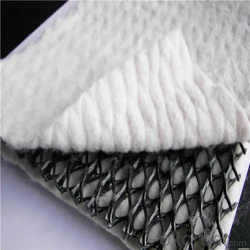 High Quality HDPE Composite Geotextile China Drainage Mat Board Building Material Geonet with Animal Husbandry 