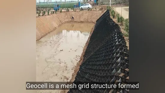 Ground Enhancement Cellular System Gravel Grid Driveway Gravel Stabilizer HDPE Geo Cell Geocell