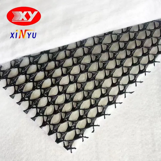 China Mat Composite Building Material Drainage Board HDPE Geonet with High Quality Geonet Esri 