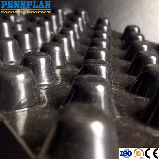 High Quality Construction Materials Plastic Drainage Board Used for Municupal Engineering